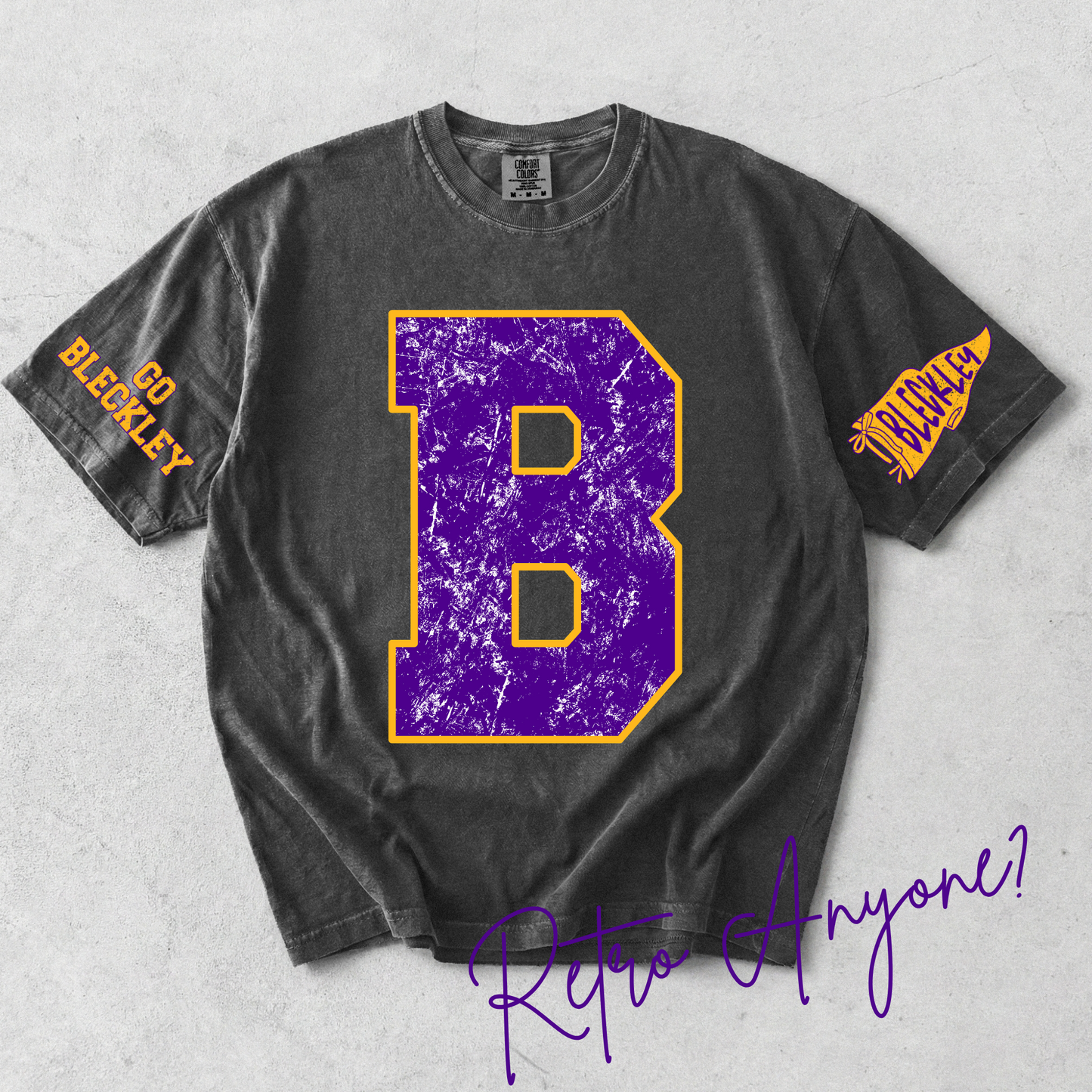 Bleckley County Retro VIntage Tee