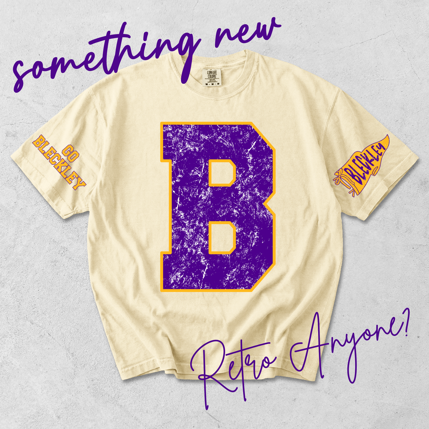 Bleckley County Retro VIntage Tee