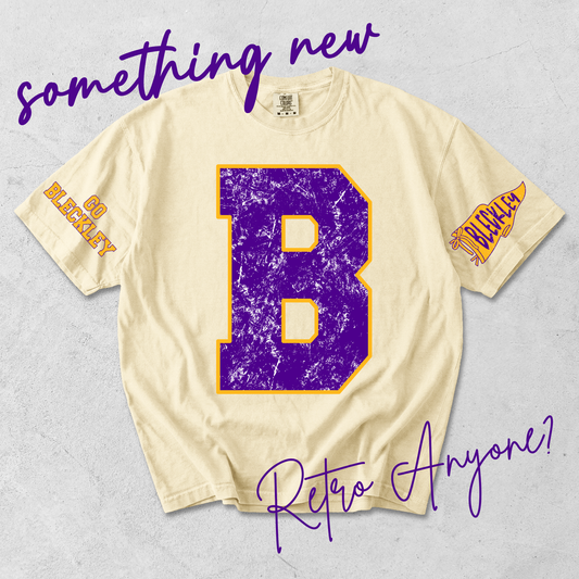 Bleckley County Retro VIntage Tee